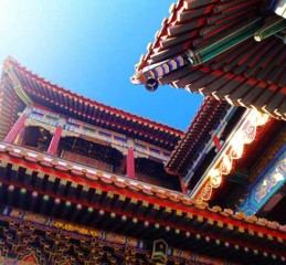 生肖蛇男跟谁配对好呢？这几对走在一起，日子越过越红火