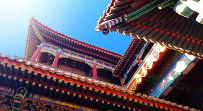 狗和兔，这俩生肖凑一块儿过日子，到底行不行？