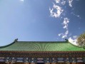 属鸡女今年运势起底，这几个月份要格外留心