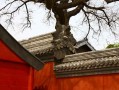 周易算命能算企业命运？别急着否定，我讲三个真实案例