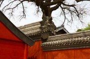 专业周易八字培训咨询师，教你从零开始看懂自己的命盘