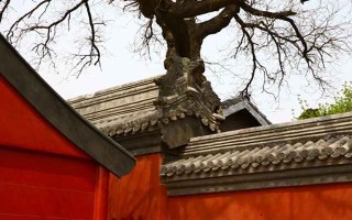 周易算命能算企业命运？别急着否定，我讲三个真实案例