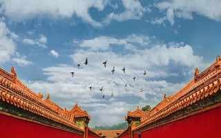 周易算命到底准不准？老祖宗的智慧别被玄学带偏了