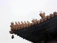 老鼠和兔婚姻配对？别急着下定论，有些事你得先搞清楚