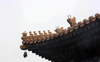 老鼠和兔婚姻配对？别急着下定论，有些事你得先搞清楚