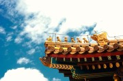 属龙人和属狗人走到一起，到底是福还是劫？我见过太多对，说点实话
