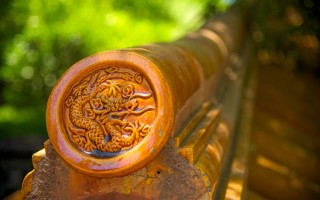 腊月属马人，运势翻腾，守心为上