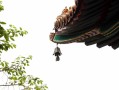 八字相合就一定能白头到老？属相配对到底靠不靠谱？