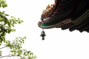 属虎男与属猪女的婚姻，看似不搭，实则天作之合