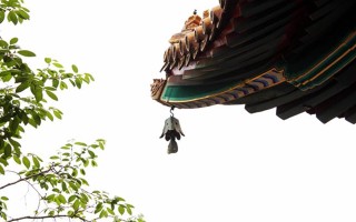 属虎男与属猪女的婚姻，看似不搭，实则天作之合