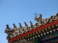 两头牛凑一块过日子，到底是福还是祸？