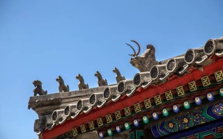 两头牛凑一块过日子，到底是福还是祸？