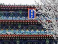 11月份搬家，选这几个日子顺风顺水