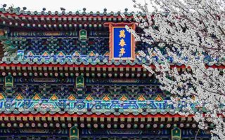 11月份搬家，选这几个日子顺风顺水
