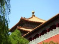 属鸡的和什么属相最配？这几对才是天作之合，婚姻甜到齁