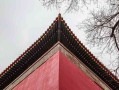 属牛人必看，这几个属相跟你天生犯冲，合不合看八卦图就懂了